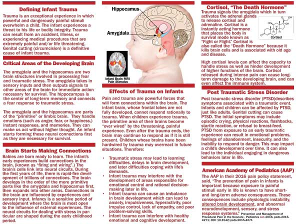 pac-trauma-inside-thumb